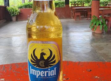 costa-rica/nicoya-peninsula/bar/bar-la-trampa