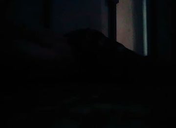 laos/annamite-range/bar/