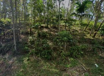 indonesia/south-sumatra/bar/pulau-panggung