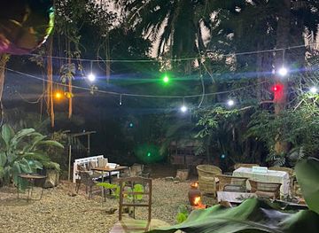 malawi/zomba/bar/chalice-vine