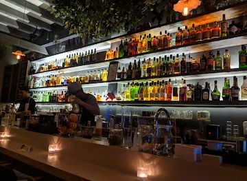 singapore/chinatown/chinatown/bar/bitters-love