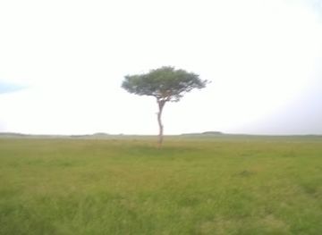 kenya/kilimanjaro-region/bar/dawida-kilimanjaro-pub-restaurant