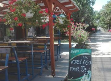 hungary/balaton-uplands/bar/borvirag-borozo-bufe