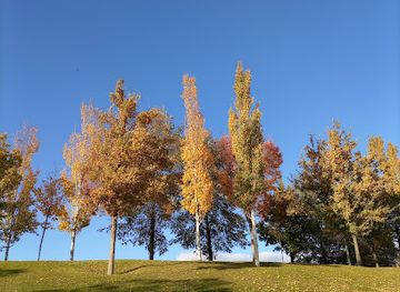 bhutan/phobjikha-valley/bar/oksana-gennadievna