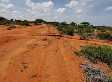 somalia/galguduud/bar/new-dhuusamareeb