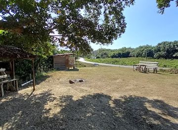 vanuatu/erromango-island/bar/will-smith-kava-bar