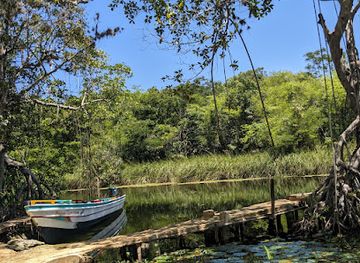 jamaica/pedro-plains/bar/rudy-s-bar