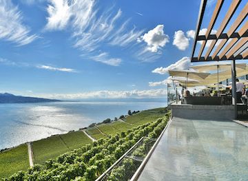 switzerland/lake-geneva-region/bar/le-deck-bar-terrasse