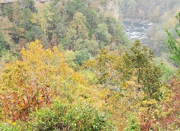 alabama/little-river-canyon/bar/eberhart-point-overlook