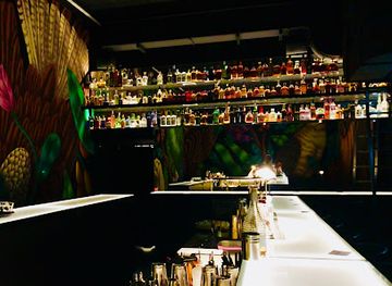 austria/vienna/josefstadt/bar/the-birdyard