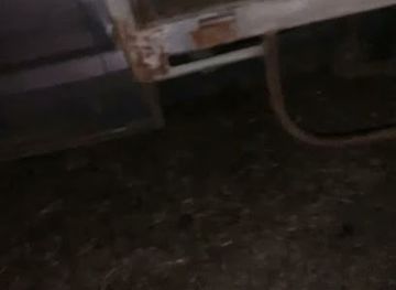 australia/mallee/bar/wally-world