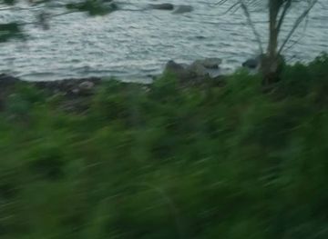 jamaica/port-maria/bar/kfc-port-maria