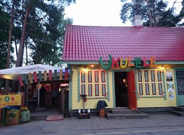 estonia/lahemaa/bar/ukulele