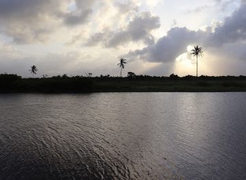guyana/mahaica-berbice/bar/dat-s-beer-garden-and-restaurant