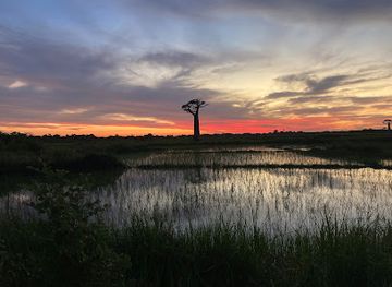 ethiopia/debre-libanos-monastery/bar/top-bar-kebena
