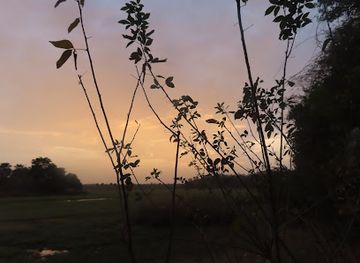 senegal/niokolo-koba-national-park/bar/simenti-parc-niokolo-koba