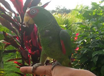 honduras/western-highlands/bar/down-town-bar