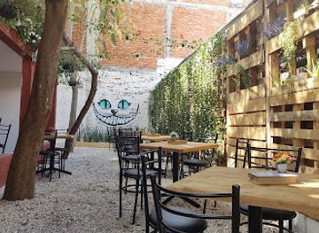 mexico/chiapas/bar/rabbit-rock-house