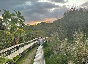 costa-rica/monteverde-cloud-forest-biological-reserve/bar/farm-to-table-escondido