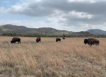 oklahoma/wichita-mountains-wildlife-refuge/bar/wichita-mountains