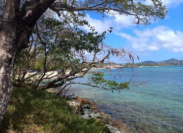 saint-lucia/pigeon-island-national-park/bar/barnacles