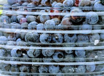 canada/acadian-peninsula/bar/au-vieux-rafiot