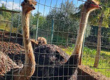 grenada/saint-andrew/bar/diamond-girl-bar