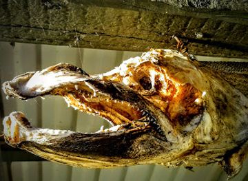 norway/finnmark-plateau/bar/fisherman-s-cabin