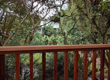 ecuador/mindo-cloud-forest/bar/the-beehive-in-mindo