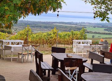 hungary/balaton-uplands/bar/gergely-borhaz