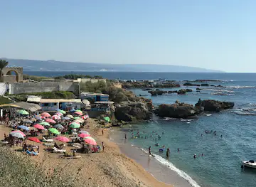Al jamal