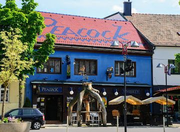 austria/burgenland/bar/peacock-pub-bar-music-mattersburg