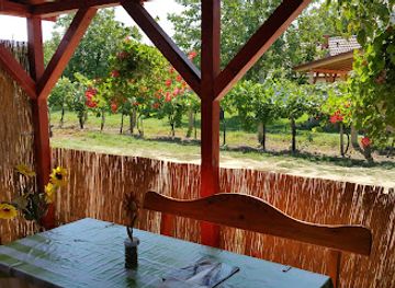 hungary/lake-balaton/bar/oroszi-preshaz