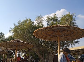 greece/euboea/bar/cayo-beach-bar