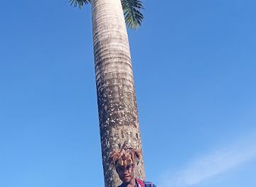 papua-new-guinea/wewak/bar/wewak-wharf