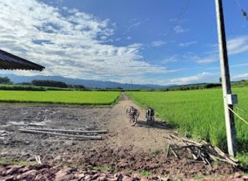 laos/muang-sing/bar/swan-aa-han