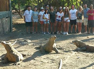 indonesia/lesser-sunda-islands/bar/dedi-cafe