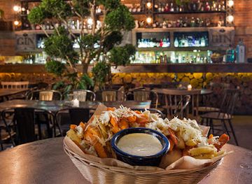 mexico/northern-mexico/bar/gingin