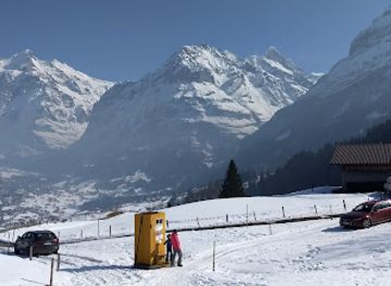 switzerland/jungfrau-region/bar/holzerbar