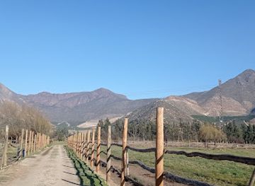 chile/aconcagua-valley/bar/cerveza-mowa