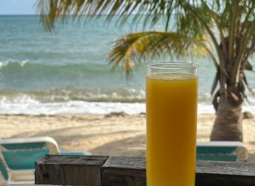 belize/hopkins/bar/m-and-l-juice-bar-and-snacks