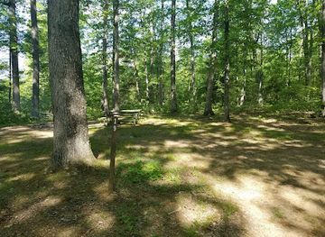 maryland/green-ridge-state-forest/bar/green-ridge-state-forest-campsite-19