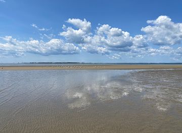 virginia/chincoteague-island/bar/great-sand-bar-of-tom-s-cove