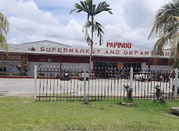 papua-new-guinea/east-new-britain/bar/papindo-takubar
