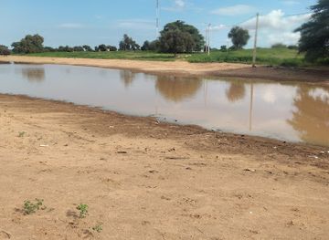 senegal/tambacounda/bar/le-vieux