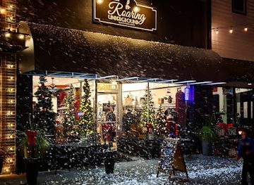 washington/mount-rainier-national-park/bar/roaring-underground