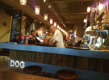france/lyon/bar/crazy-dog-lyon-terreaux