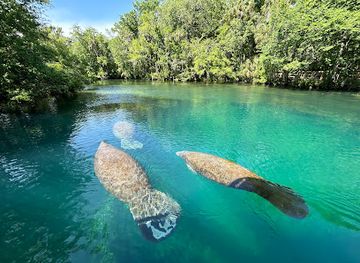 florida/homosassa-springs-wildlife-state-park/bar/homosassa-springs-state-park-adventures