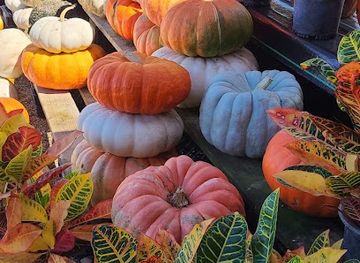 alabama/tombigbee-river/bar/minnie-mae-s