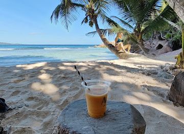 seychelles/ile-de-l-est/bar/coco-bar